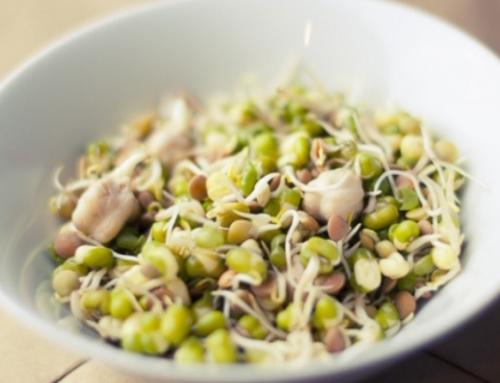 HOT NEW HABIT: Sprouting